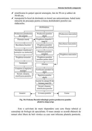 Schema fluxului îngrijirii mamă-copil în maternitate