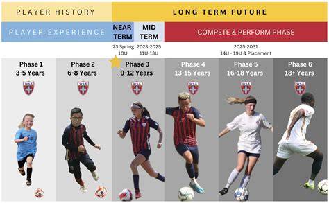 Grafic: evolution of a football talent program from youth to professional level