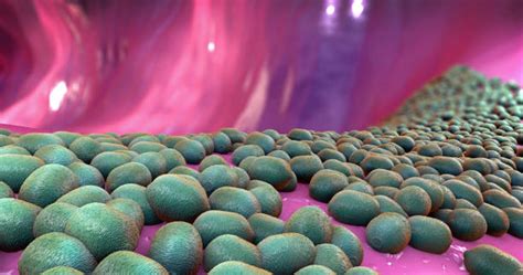 Ilustrare a microbiomului scalpului