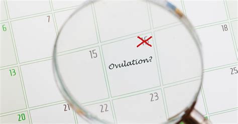 Calendar pentru calcularea perioadei fertile