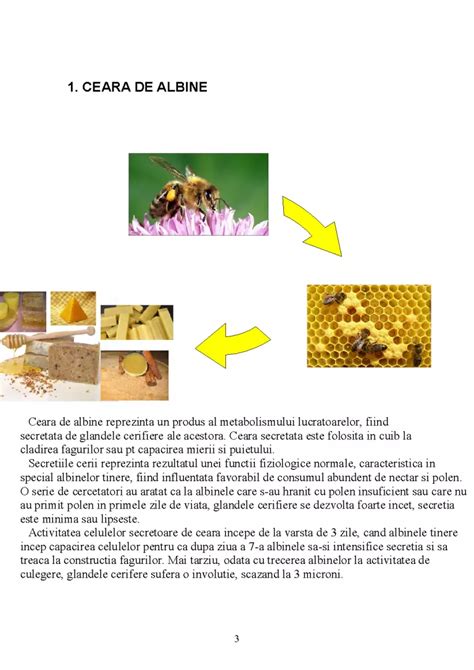 Figura 1: Secreţia cerii la albine; factori de influenţă (temperatură, alimentaţie)