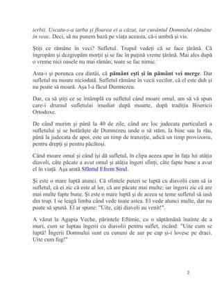 Infografic: Drumul vieţii de la zămislire la naştere şi sensul sufletului în tradiţia creştină