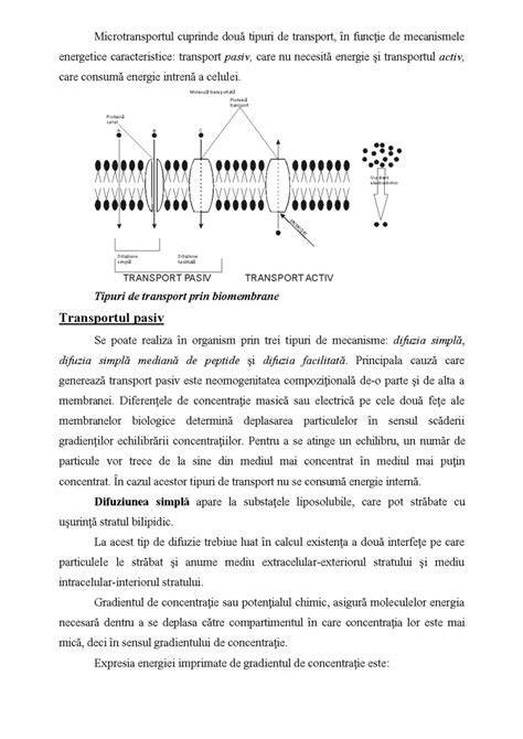 Infografic: circulația placentei, tipuri de atașare și complicații