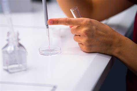 Donarea de ovule in vitro explicata