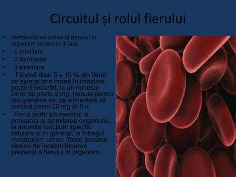 Infografic: Circuitul eritropoiezei si rolul fierului in sarcina