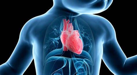 Infografic: principalele defecte cardiace congenitale manifestate la sugari