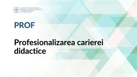 grafic: structura ierarhică a carierei didactice în LIP