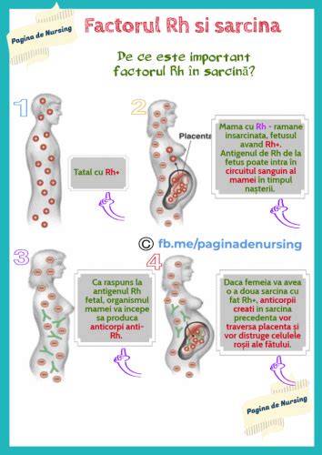 Infografic: Sistemul Rh și impactul Rh în sarcină