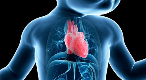 Infografic: Defecte cardiace congenitale comune la copii