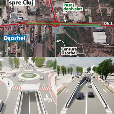 Infografic - Rutele de acces către serviciile ginecologice în Oradea și Sânmartin