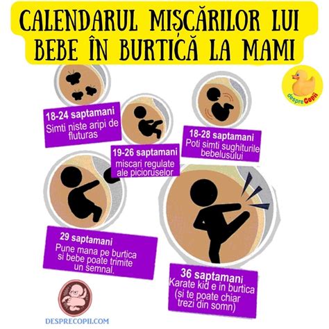 Calendarul miscarilor bebelusului in burtica mamicii