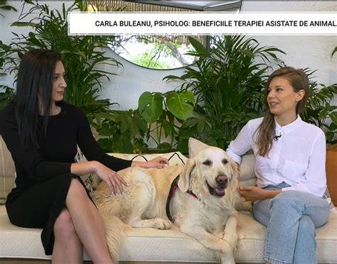 Diagramă a fluxului de beneficii ale terapiei cu animale