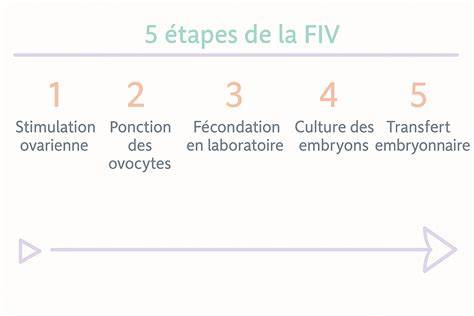 Diagrama procesului FIV: de la stimulare la transfer