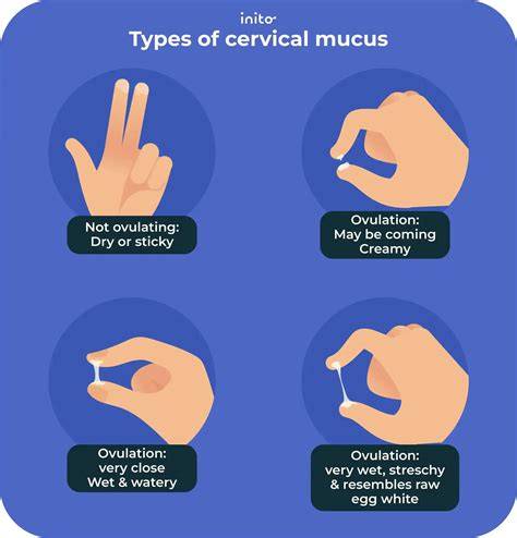 Mucus cervical: de la uscat la cristal, elastic ca albusul de ou