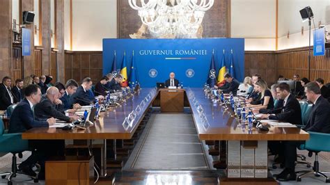 Infografic: lanț de decizii pentru alegerea sistemelor ignifuge în proiecte