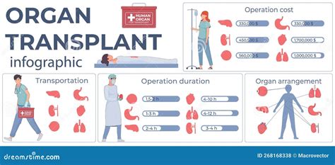 Procedura de transplant osos