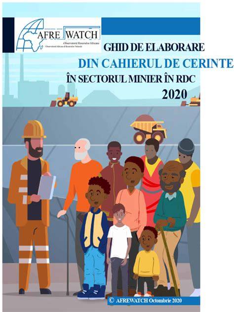 Infografic: procesul de elaborare a caietului de sarcini în cadrul procedurilor CNADNR