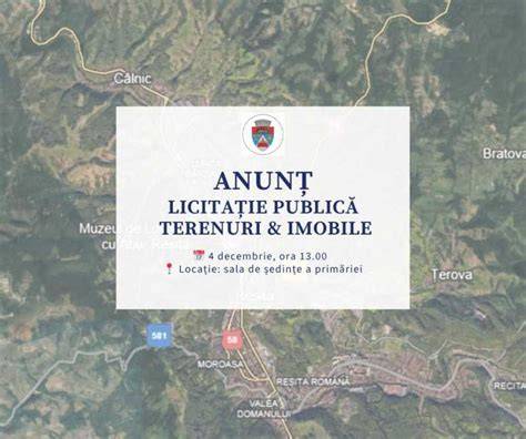 Infografic: modelul de concesiune prin licitație publică