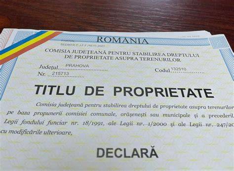 Infografic: cadrul legal al titlului de proprietate si fluxul de emitere