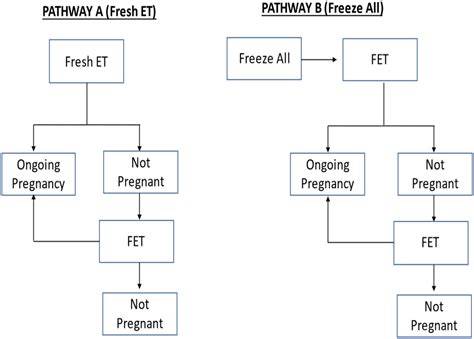 Grafic: etapele FIV cu freeze-all versus transfer proaspat