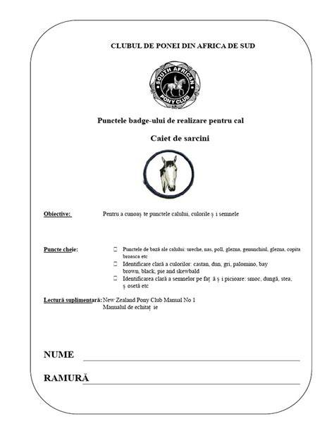 Infografic cu fluxul de lucru pentru elaborarea caietului de sarcini