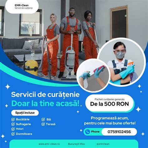consultanță în licitații pentru servicii de curățenie