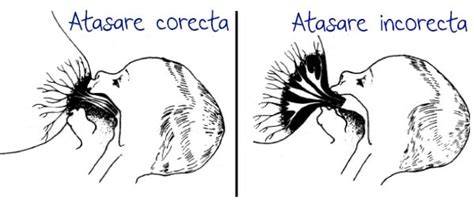 Schema de pozitii pentru atașare corecta la sân