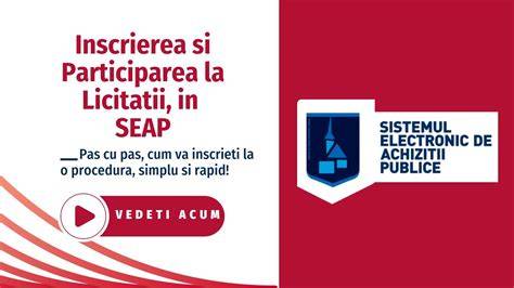 Infografic: cum functionează SEAP si catalogele electronice