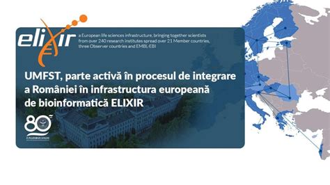 Infrastructura vizuala: procesul montarii steriletului