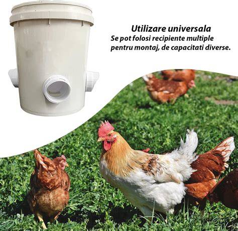 Schematizare: fluxul diversificării și rolul dispozitivelor de hranire