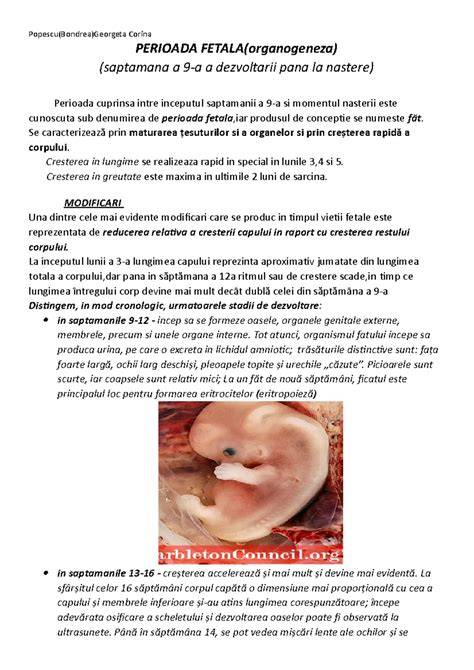 Chart: dezvoltarea organelor majore în săptămânile 9-12