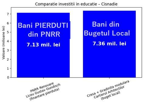 infografic despre bonă vs creșă: comparații cheie