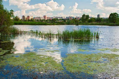 Delta Bucurestiului - ecosistem urban