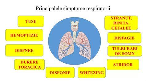 Schema: alergeni -> inflamatie -> bronhospasm -> simptomatologie (tuse, wheezing, dispnee)