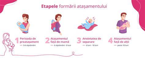 Infografic: etapele dezvoltării atașamentului și semnalele securității afective