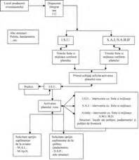 Schema fluxului decizional în radiologia intervențională
