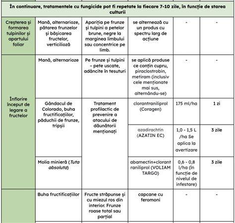 Schema flux tratament: expectativa, medical, chirurgical