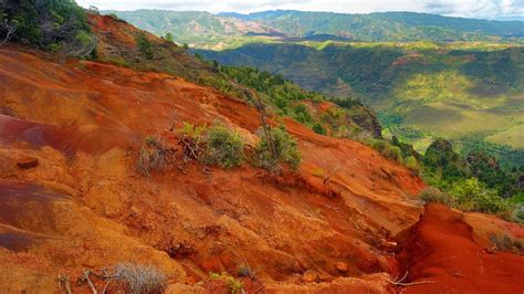 Imagine cu textură de argilă