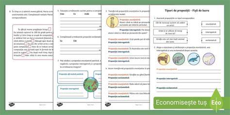 Infografic: tipuri de geosintetice si principiul de lucru