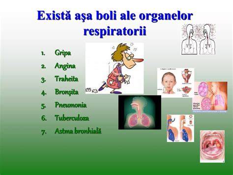 Infografic: Urmarea principalelor tipuri de boli la copii: respiratorii, digestive, cutanate