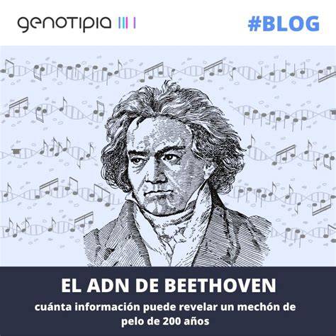 Infografic: cronologia studiului ADN despre Beethoven