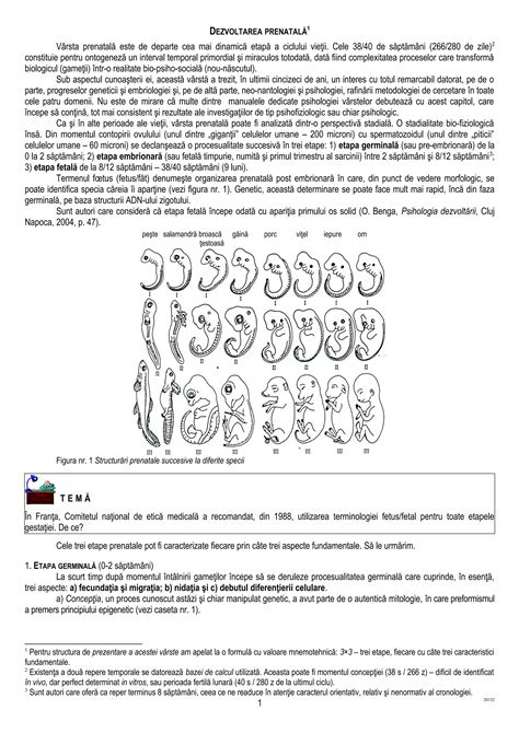 Imaginea 1: Diagramă a zigotului și dezvoltarea timpurilor sarcinii