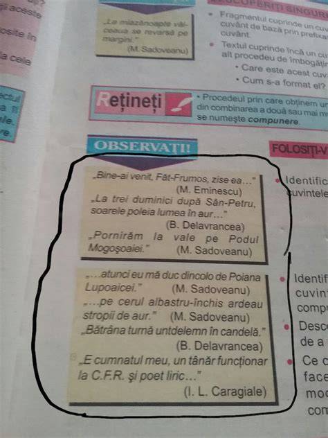 Infografic: cum functionează jocul de cuvinte în exemplele germane compuse