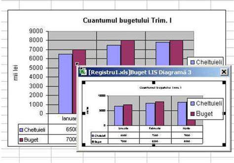 Graficul programului si diagramelor in FlexiProject