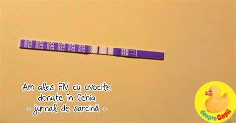 Diagrame etice: ghidare în alegerea între FIV cu ovule proprii vs. ovocite donate