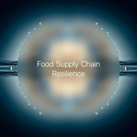Diagramă progresie texturi: piure → zdrobit → bastonașe finger food