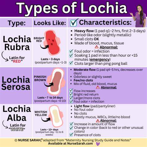 Infografic: Etapele lohiilor postpartum (rubra, serosa, alba) cu schimbările de culoare și timp