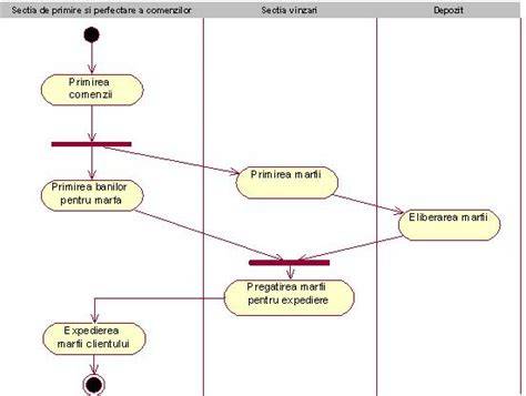 Diagrama structurala a relatiei intre activitate principala, secundara si auxiliare