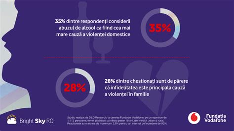 Imagine infografică despre procesul decizional în dosare de violență domestică cu pedepse în România