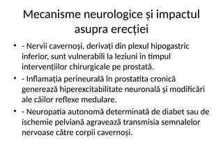 Infografic: mecanismele fiziopatologice ale anemiei în sarcină (cerere crescută vs. producție insuficientă de globule roșii)